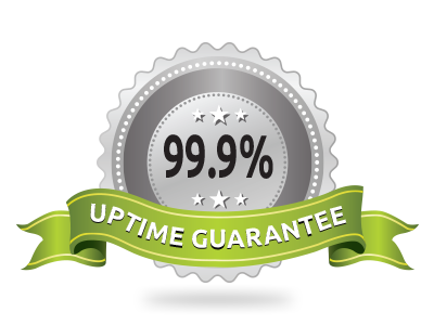 Fiança de tempo de uptime do servidor de 99.9%